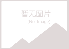 河南盼山会计有限公司